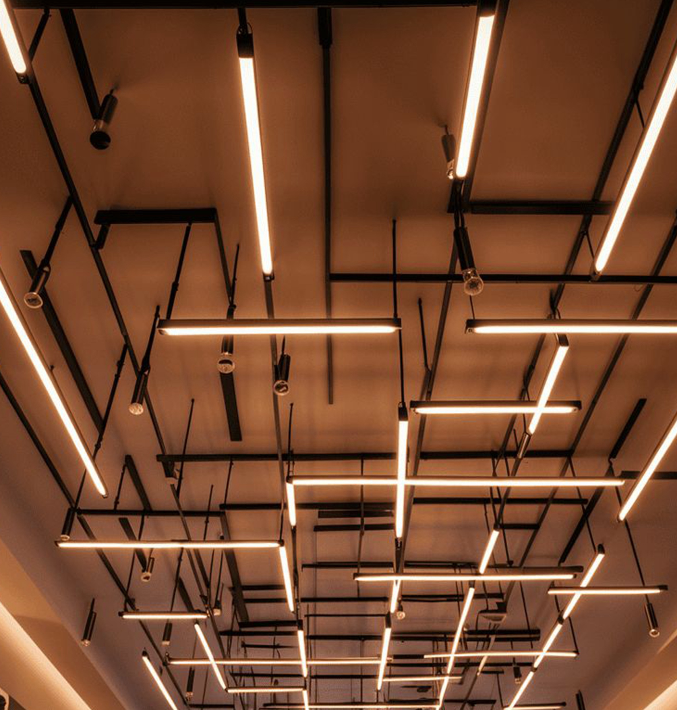 Linea
